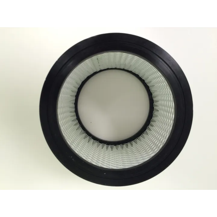 FILTRE A PLIS POUR ASPIRATEUR DE CENDRES PARKSIDE  PAS 900 A1