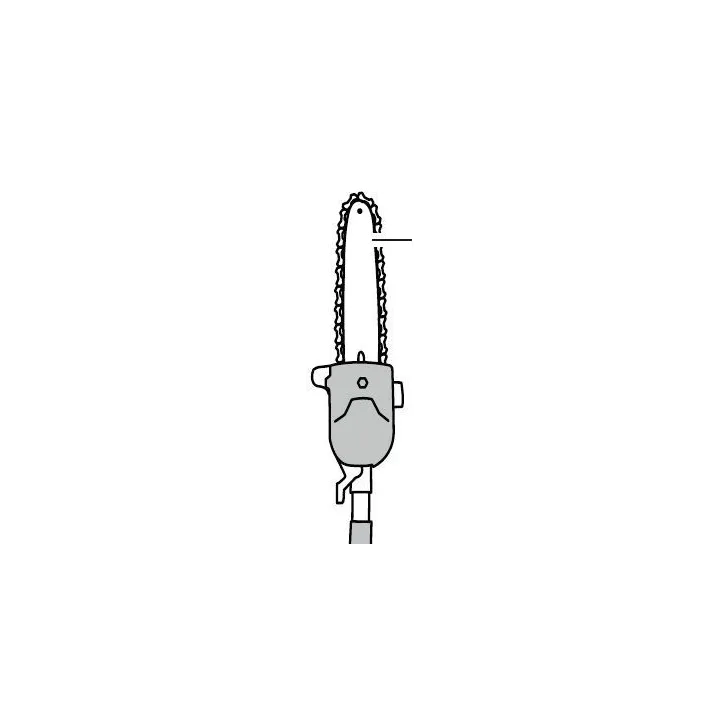 TETE POUR PERCHE ELAGUEUSE PHSHE 900 A1