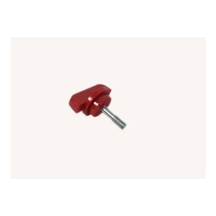 VIS POUR CARTER FILTRE A AIR POUR FBS 25 A1 - REF: 13602035