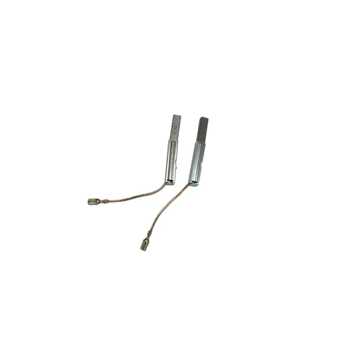 CHARBONS POUR ASPIRATEURS PARKSIDE PNTS 1300 C3/D3