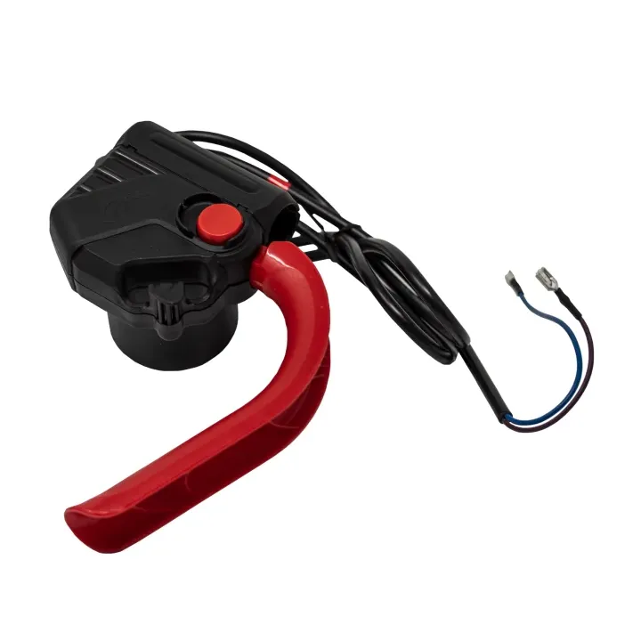 INTERRUPTEUR DE DEMARRAGE POUR AERATEUR SCARIFICATEUR DELTAFOX DG-ESA 1231 - REF: 91104435