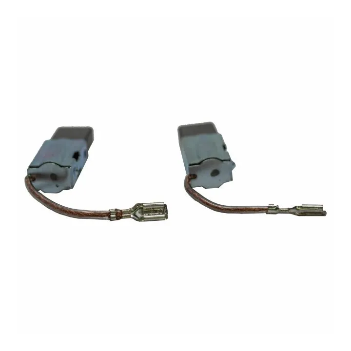 LOT DE DEUX CHARBONS POUR BROYEUR FLORABEST FMH 2400 /10 ou A1