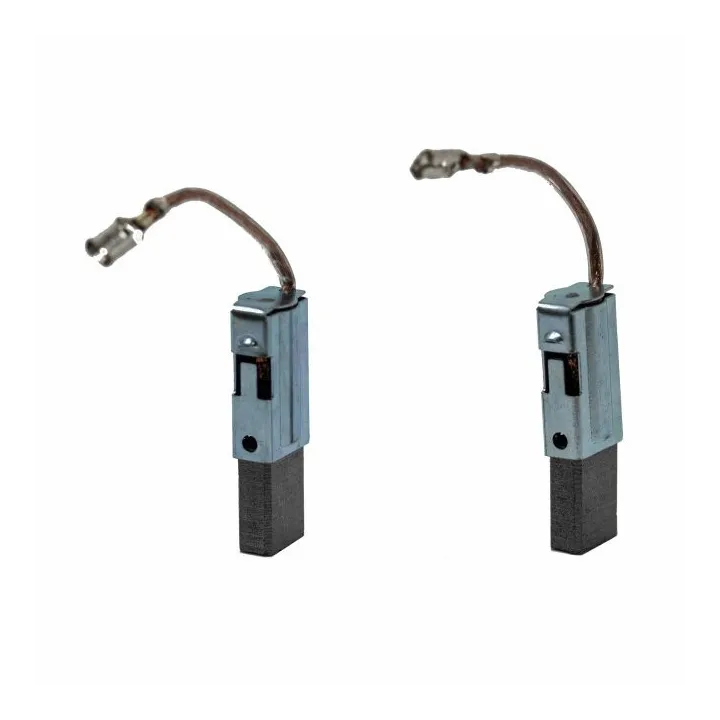 LOT DE DEUX CHARBONS POUR BROYEUR FLORABEST FMH 2400 /10 ou A1