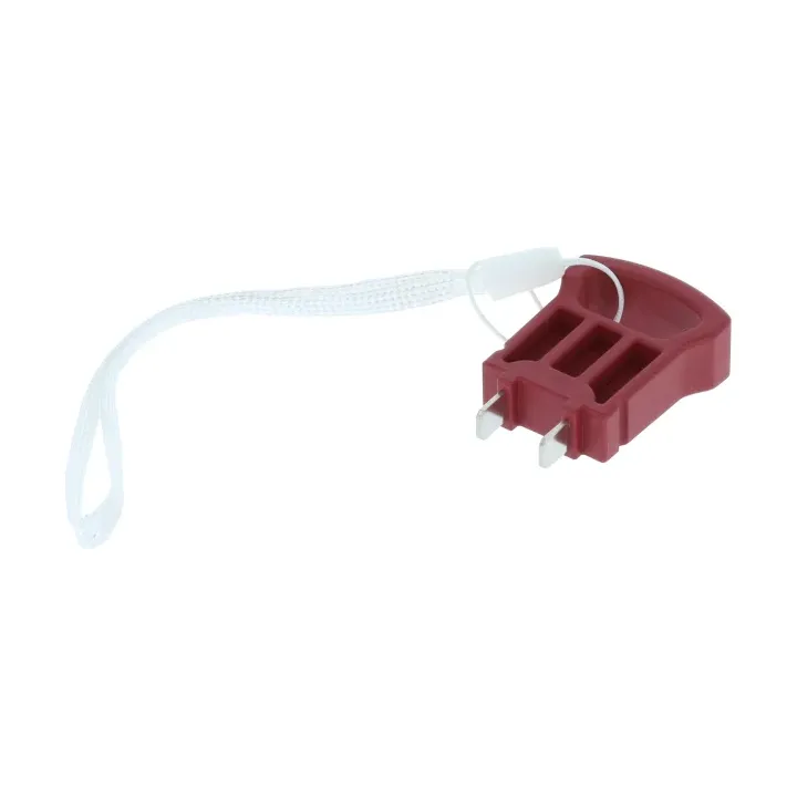 CLEF DE SECURITE POUR TONDEUSE PARKSIDE PPRMA 40 LI A1 - REF: 91110318