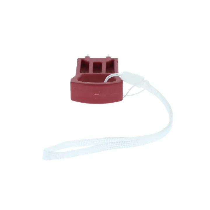 CLEF DE SECURITE POUR TONDEUSE PARKSIDE PPRMA 40 LI A1 - REF: 91110318