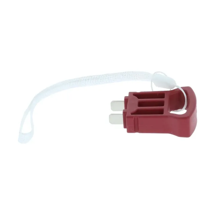 CLEF DE SECURITE POUR TONDEUSE PARKSIDE PPRMA 40 LI A1 - REF: 91110318