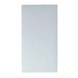 FILTRE D'ENTREE POUR ASPIRATEURS PARKSIDE PERFORMANCE - REF: 91110489