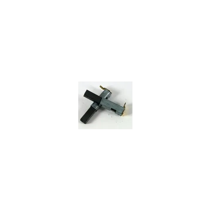 CHARBONS POUR ASPIRATEURS PARKSIDE PNTS 1250/9 et  1300 A1