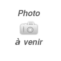 GUIDE POUR TRONCONNEUSE PARKSIDE - REF: 91120352