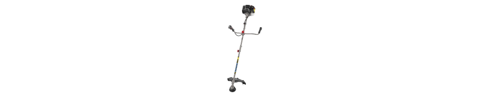 PPBS 3 B2 - IAN 495693